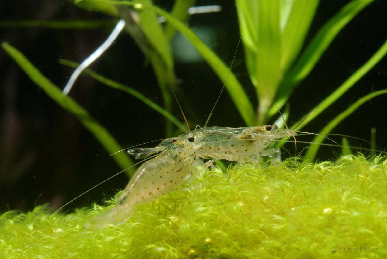DSC_6972.jpg