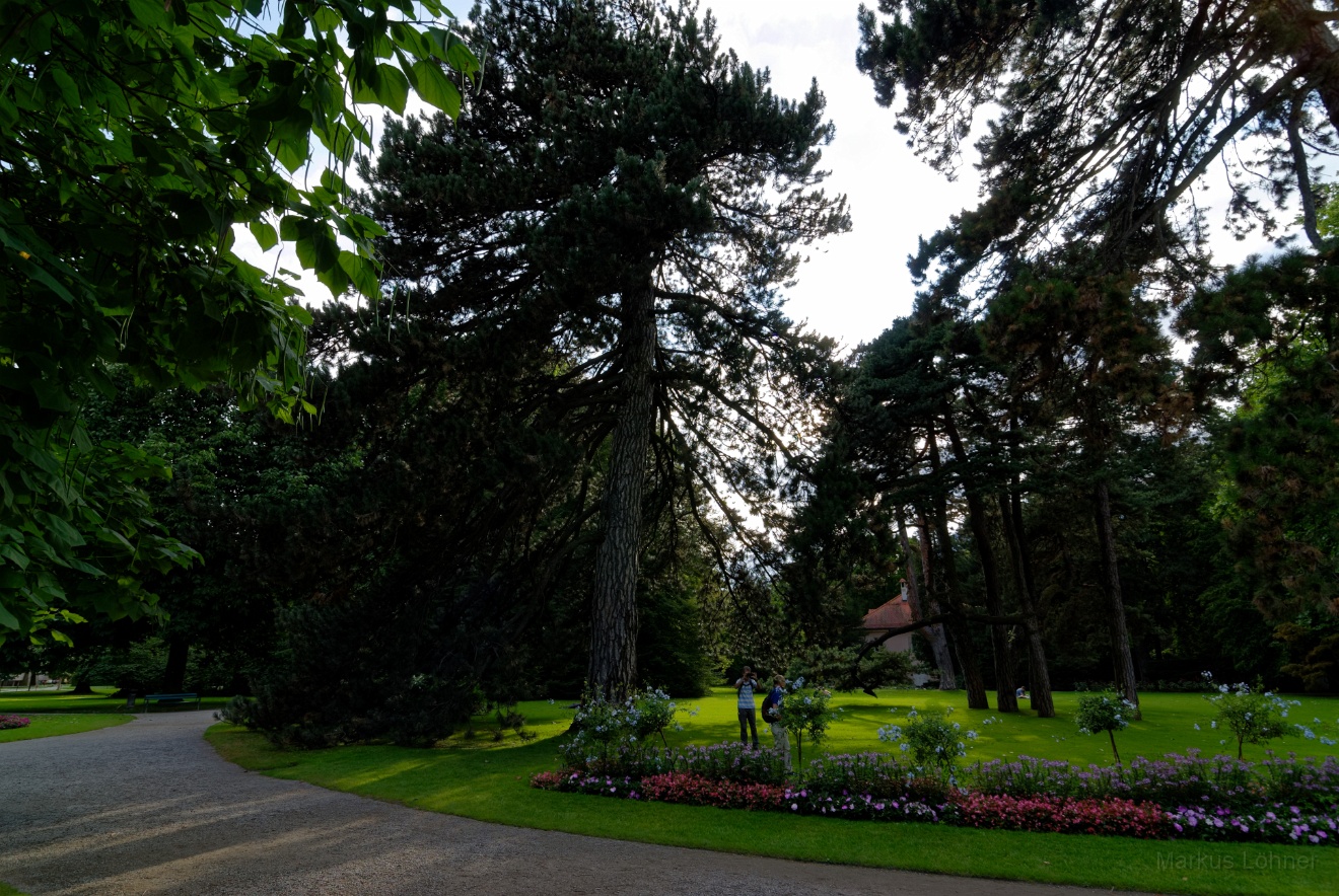 DSC_2644_dxo.jpg