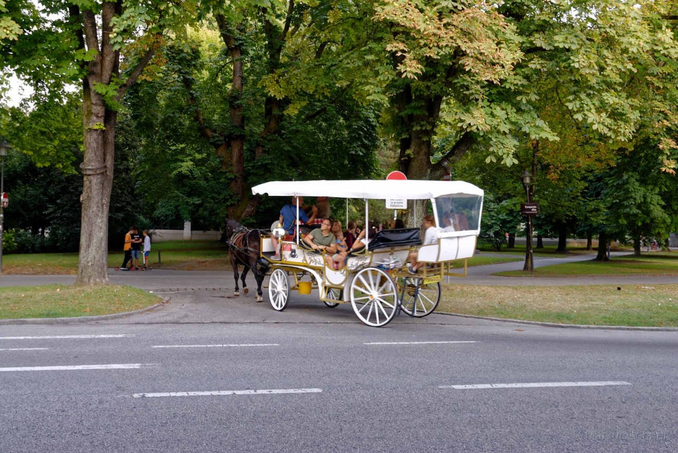 DSC_2655_dxo.jpg