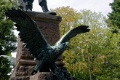 DSC_2445_dxo