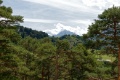 DSC_2468_dxo