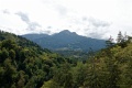 DSC_2511_dxo