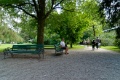 DSC_2631_dxo