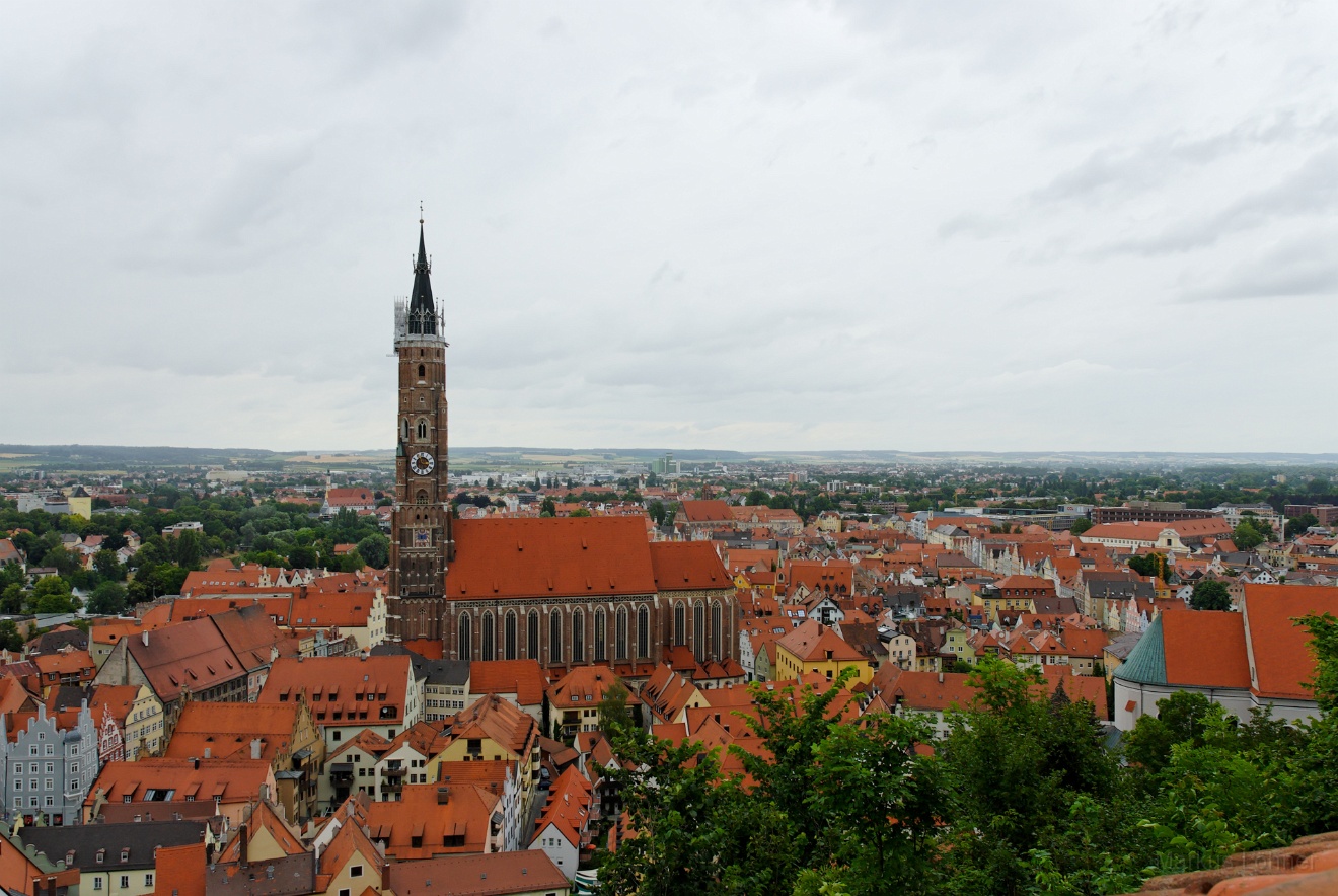 DSC_0177.jpg