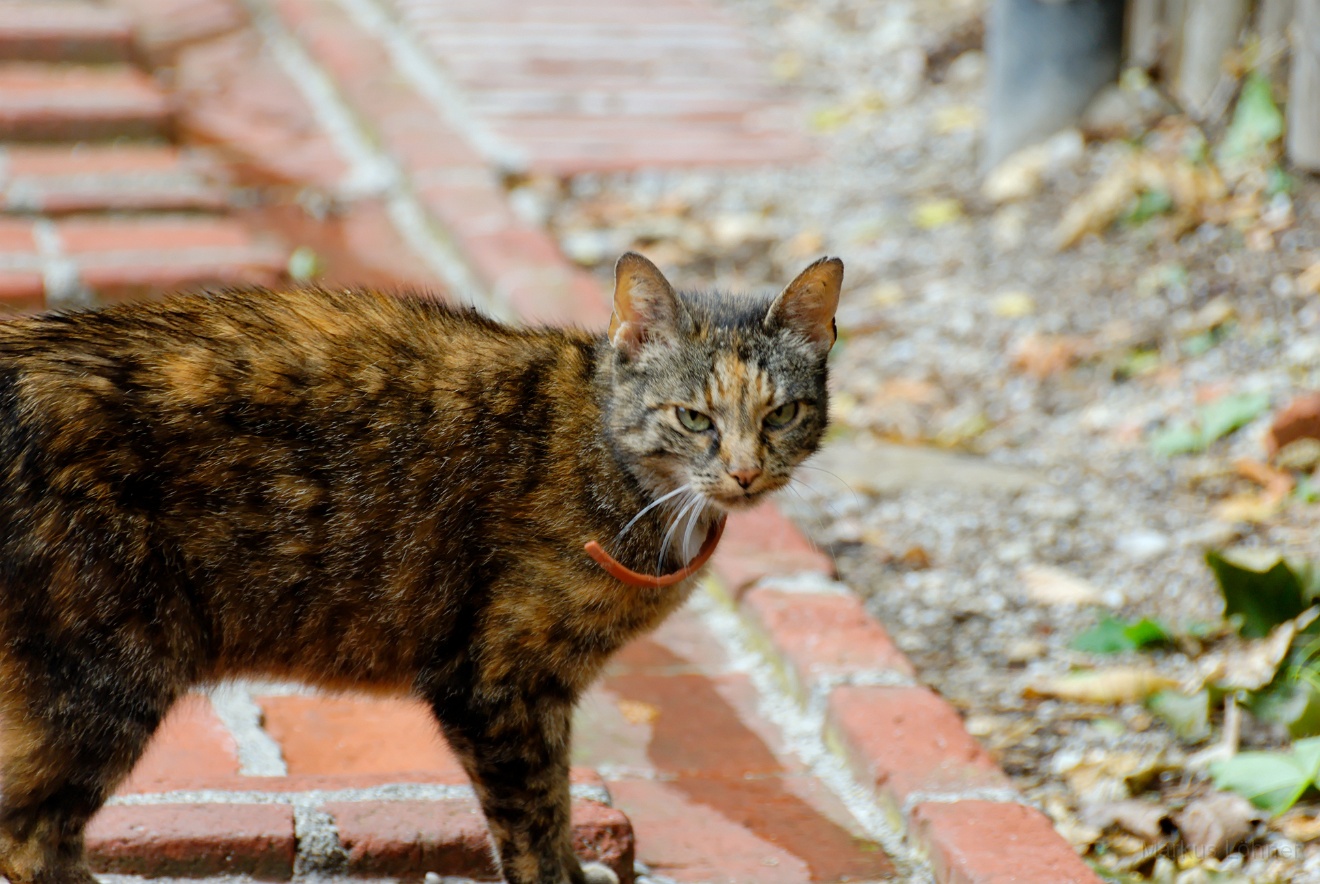 DSC_0186.jpg