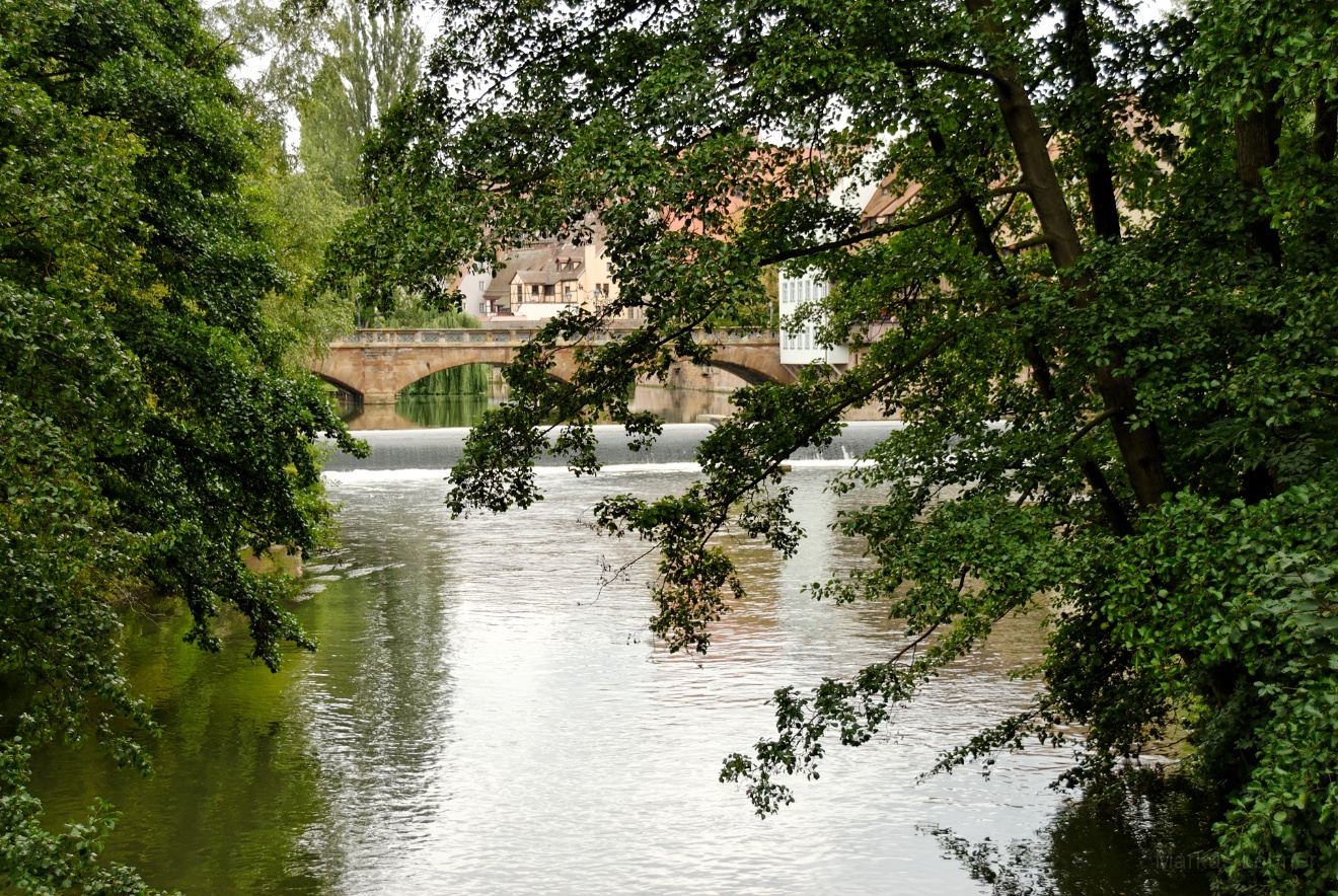 DSC_0023.jpg