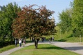 DSC_4287_dxo